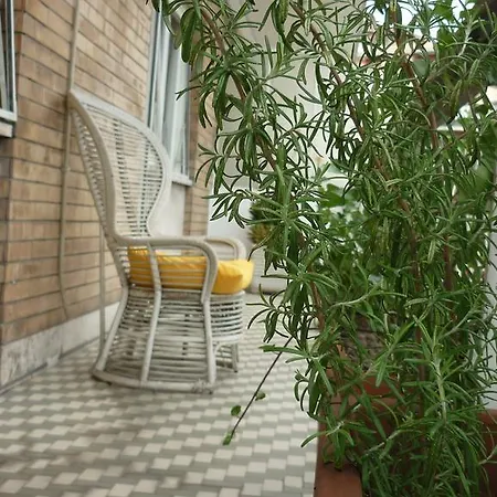 Bed & Breakfast La Mariposa Rome
